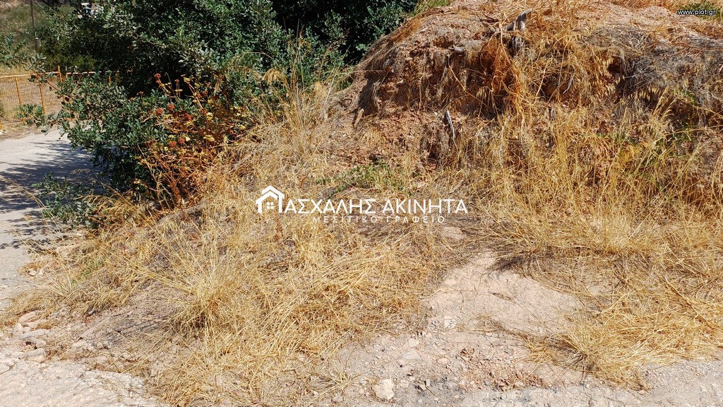 Οικόπεδο 270 τ.μ. προς πώληση, Παλαιόκαστρο Γαζίου