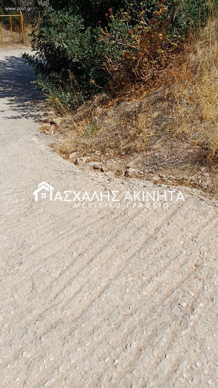 Οικόπεδο 270 τ.μ. προς πώληση, Παλαιόκαστρο Γαζίου