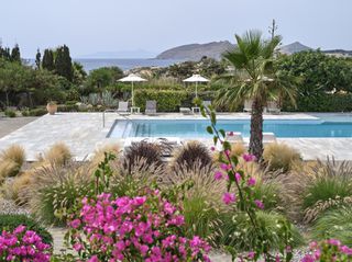 Συγκρότημα διαμερισμάτων 900 τ.μ. προς πώληση, Εβριόκαστρο-thumb-4
