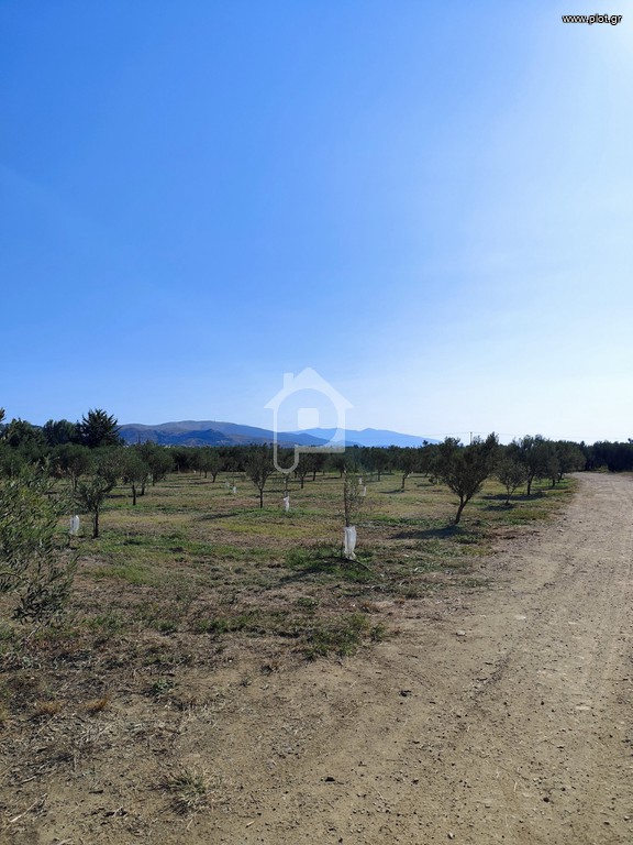 Αγροτεμάχια 3.714 τ.μ. πρός πώληση, Μαγνησία, Νέα Αγχίαλος