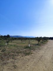 Αγροτεμάχια 3.714 τ.μ. για πώληση