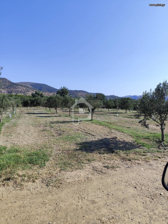 Αγροτεμάχια 3.714 τ.μ. πρός πώληση, Μαγνησία, Νέα Αγχίαλος