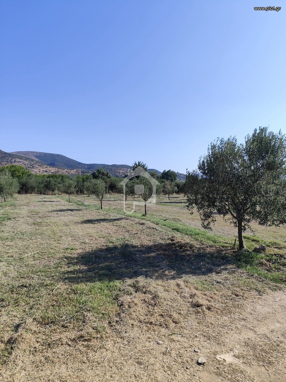 Αγροτεμάχια 3.714 τ.μ. πρός πώληση, Μαγνησία, Νέα Αγχίαλος