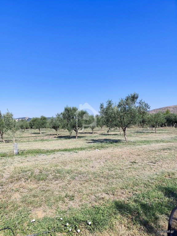 Αγροτεμάχια 3.714 τ.μ. πρός πώληση, Μαγνησία, Νέα Αγχίαλος