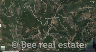 Αγροτεμάχια 9.481 τ.μ. για πώληση, Μαγνησία, Σηπιάδα-thumb-11