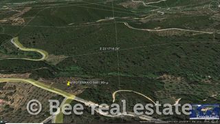 Αγροτεμάχια 9.481 τ.μ. για πώληση, Μαγνησία, Σηπιάδα-thumb-5