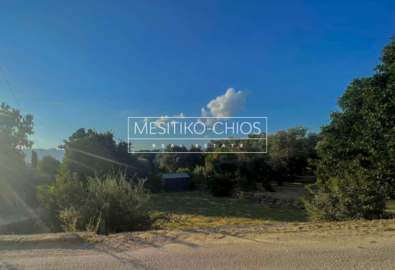 Οικόπεδο 242 τ.μ. προς πώληση, Άγιος Μηνάς Χίου