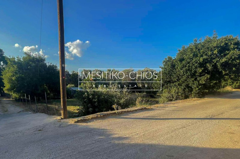 Οικόπεδο 242 τ.μ. προς πώληση, Άγιος Μηνάς Χίου