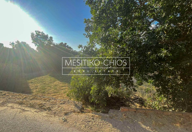 Οικόπεδο 242 τ.μ. προς πώληση, Άγιος Μηνάς Χίου