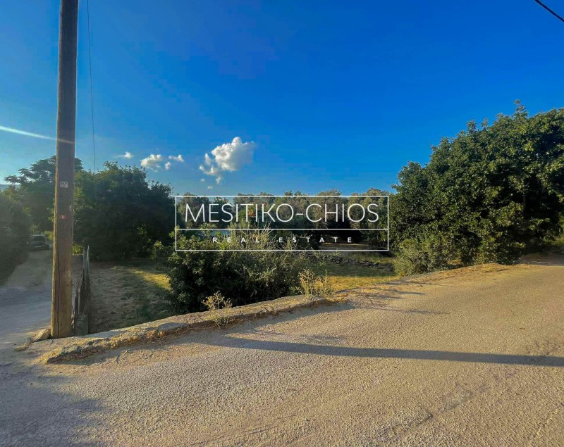 Οικόπεδο 242 τ.μ. προς πώληση, Άγιος Μηνάς Χίου