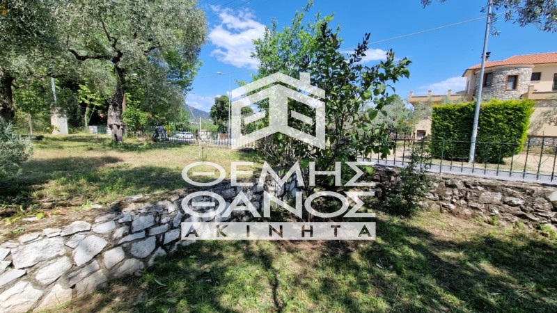 Μονοκατοικία 200 τ.μ. προς πώληση, Ποταμιά Θάσου
