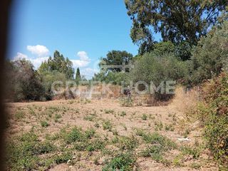 Οικόπεδο 750 τ.μ. για πώληση, Εύβοια, Αιδηψός-thumb-3