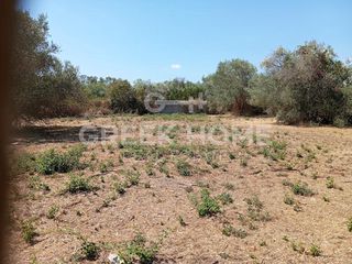 Οικόπεδο 750 τ.μ. για πώληση, Εύβοια, Αιδηψός-thumb-2