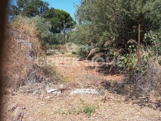 Οικόπεδο 750 τ.μ. για πώληση, Εύβοια, Αιδηψός-thumb-5