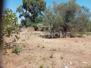 Οικόπεδο 750 τ.μ. για πώληση, Εύβοια, Αιδηψός-thumb-4