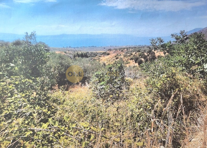 Αγροτεμάχια 8.500 τ.μ. πρός πώληση, Εύβοια, Λίμνη