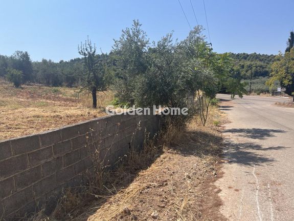 Land plot 1.000 sqm for sale, Phthiotis, Malesina