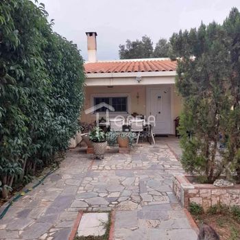 Διαμέρισμα 48τ.μ. για ενοικίαση-Κορωπί » Αγία μαρίνα