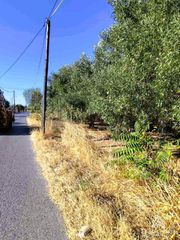 Αγροτεμάχια 4.128 τ.μ. για πώληση
