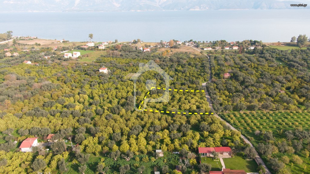 Αγροτεμάχια 1.280 τ.μ. προς πώληση, Αιγιάλεια