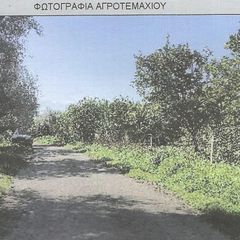 Αγροτεμάχια 1.280 τ.μ. προς πώληση, Αιγιάλεια-thumb-2