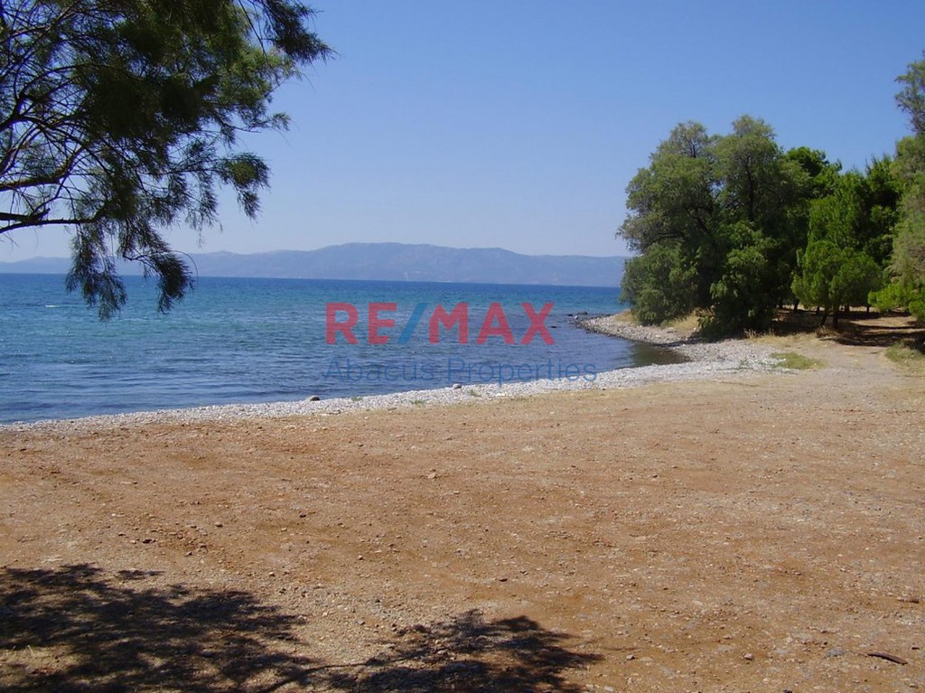 Οικόπεδο 603 τ.μ. προς πώληση, Αλιβέρι