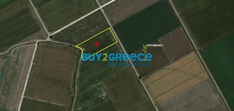 Αγροτεμάχια 7.579τ.μ. για πώληση-Ορχομενός
