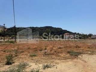 Οικόπεδο 400 τ.μ. για πώληση, Μεσσηνία, Καλαμάτα-thumb-24