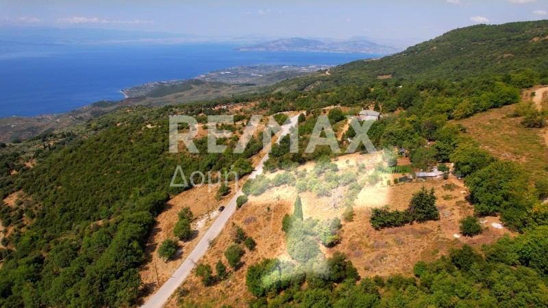 Αγροτεμάχια 2.143 τ.μ. προς πώληση, Πινακάτες