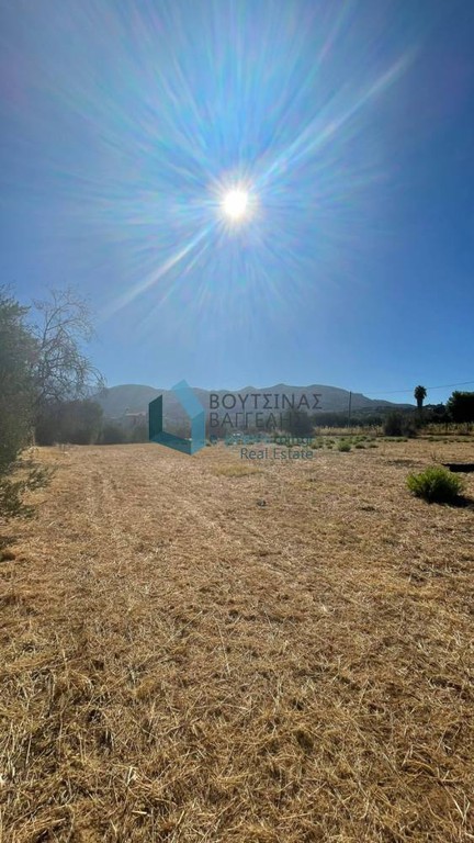 Land plot 4.460 sqm for rent, Achaia, Messatida