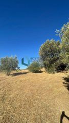 Οικόπεδο 4.460 τ.μ. για ενοικίαση, Αχαΐα, Μεσσατίδα-thumb-13