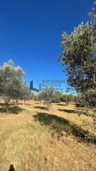Οικόπεδο 4.460 τ.μ. για ενοικίαση, Αχαΐα, Μεσσατίδα-thumb-7