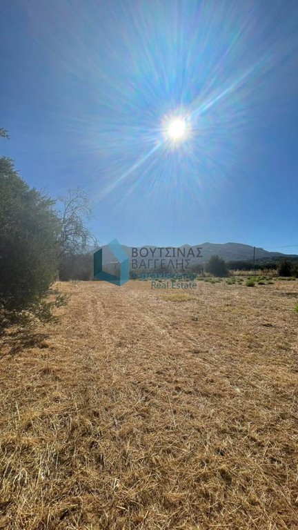 Land plot 4.460 sqm for rent, Achaia, Messatida