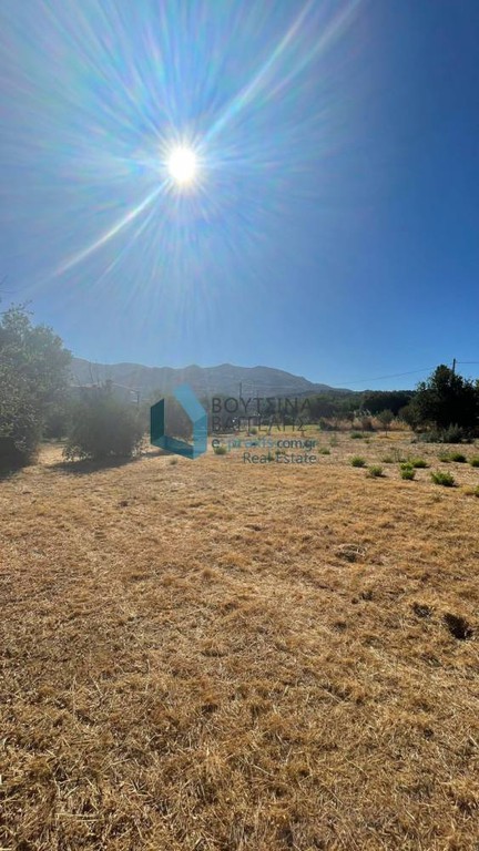 Land plot 4.460 sqm for rent, Achaia, Messatida
