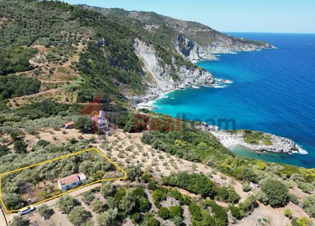 Μονοκατοικία 25τ.μ. για πώληση-Σκόπελος