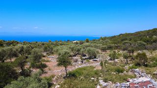 Αγροτεμάχια 4.690 τ.μ. για πώληση, Ν. Λευκάδας, Λευκάδα-thumb-14