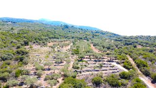 Αγροτεμάχια 4.690 τ.μ. για πώληση, Ν. Λευκάδας, Λευκάδα-thumb-17