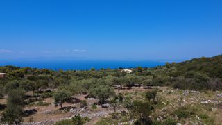 Αγροτεμάχια 4.690 τ.μ. για πώληση, Ν. Λευκάδας, Λευκάδα-thumb-6