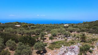 Αγροτεμάχια 4.690 τ.μ. για πώληση, Ν. Λευκάδας, Λευκάδα-thumb-1