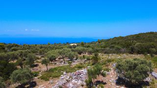 Αγροτεμάχια 4.690 τ.μ. για πώληση, Ν. Λευκάδας, Λευκάδα-thumb-3