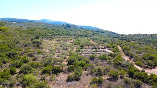 Αγροτεμάχια 4.690 τ.μ. για πώληση, Ν. Λευκάδας, Λευκάδα-thumb-15