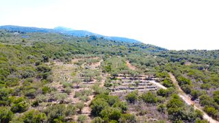 Αγροτεμάχια 4.690 τ.μ. για πώληση, Ν. Λευκάδας, Λευκάδα-thumb-16