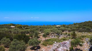 Αγροτεμάχια 4.690 τ.μ. για πώληση, Ν. Λευκάδας, Λευκάδα-thumb-2