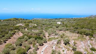Αγροτεμάχια 4.690 τ.μ. για πώληση