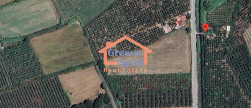 Αγροτεμάχια 11.000 τ.μ. πρός πώληση, Ν. Άρτας, Αμβρακία