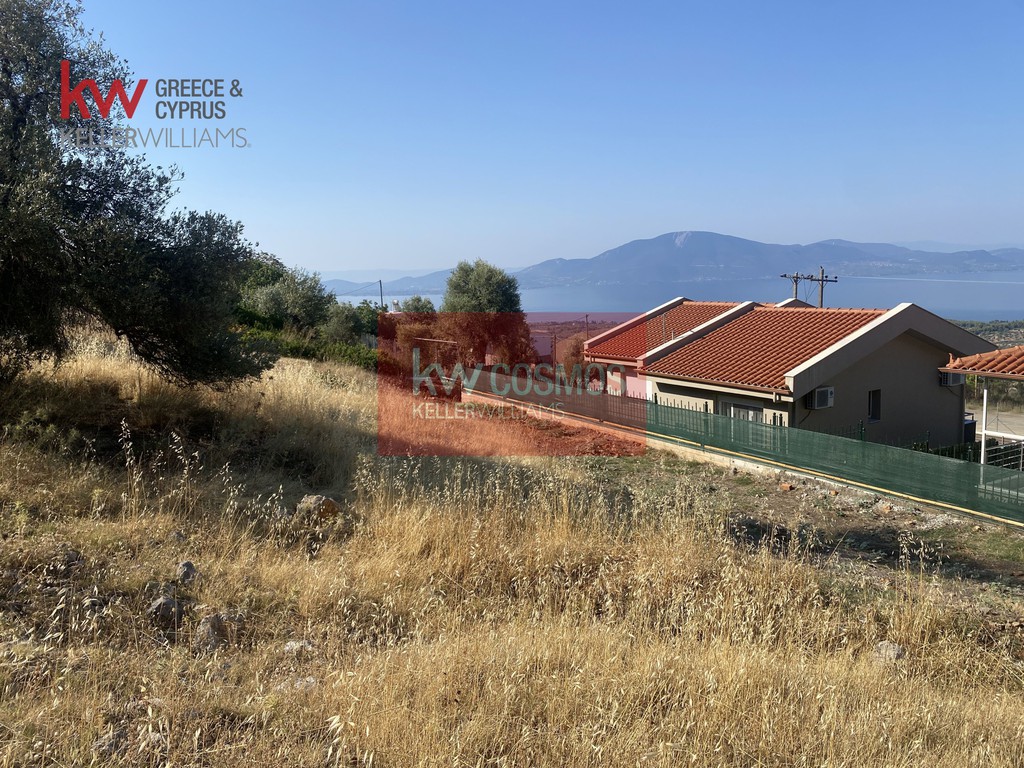 Οικόπεδο 1.600 τ.μ. προς πώληση, Νεροτριβιά