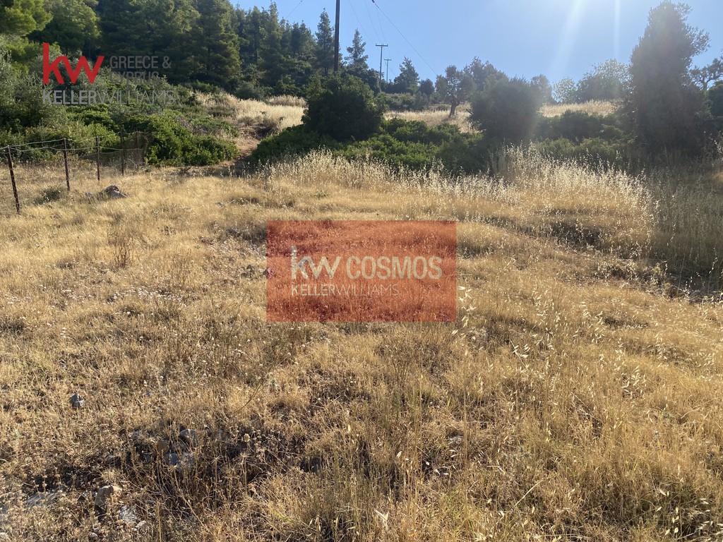 Οικόπεδο 1.600 τ.μ. προς πώληση, Νεροτριβιά