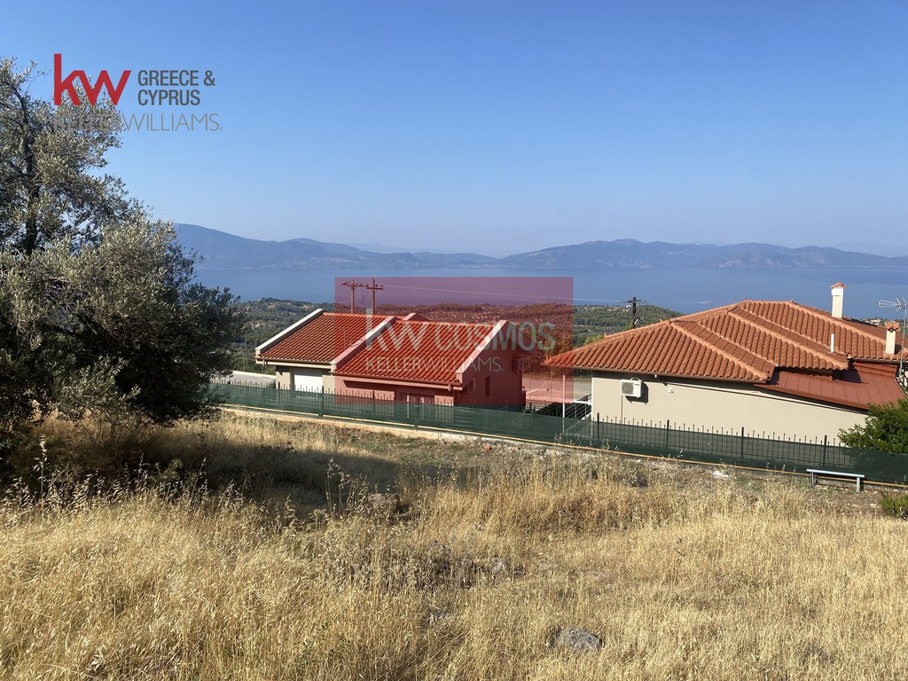 Οικόπεδο 1.600 τ.μ. προς πώληση, Νεροτριβιά