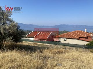 Οικόπεδο 1.600 τ.μ. για πώληση