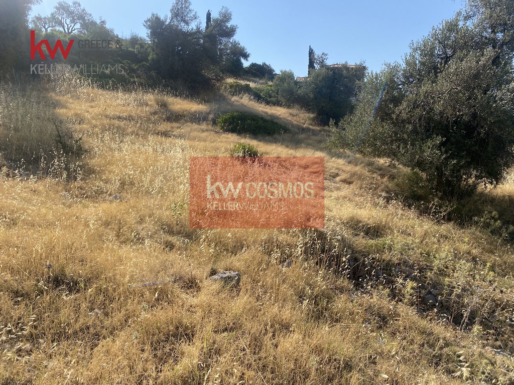 Οικόπεδο 1.600 τ.μ. προς πώληση, Νεροτριβιά
